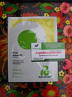 Насіння капусти Етма F1, 2500 насіння (калібровані) — ультрарання (45-50 днів), білокочата Rijk Zwaan