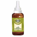 Екстракт Оливкового лисття 30мл Ерсаг, фото 2