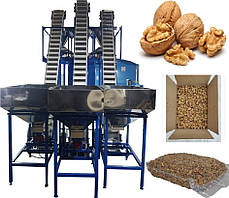 Фасувальний комплекс для фасування ядер волоського горіха та інших сипучих продуктів у пакети