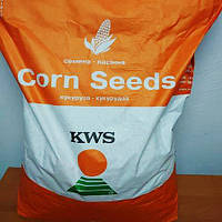 Семена кукурузы KWS 2370 ФАО 280 посевной гибрид кукурузы КВС 2370