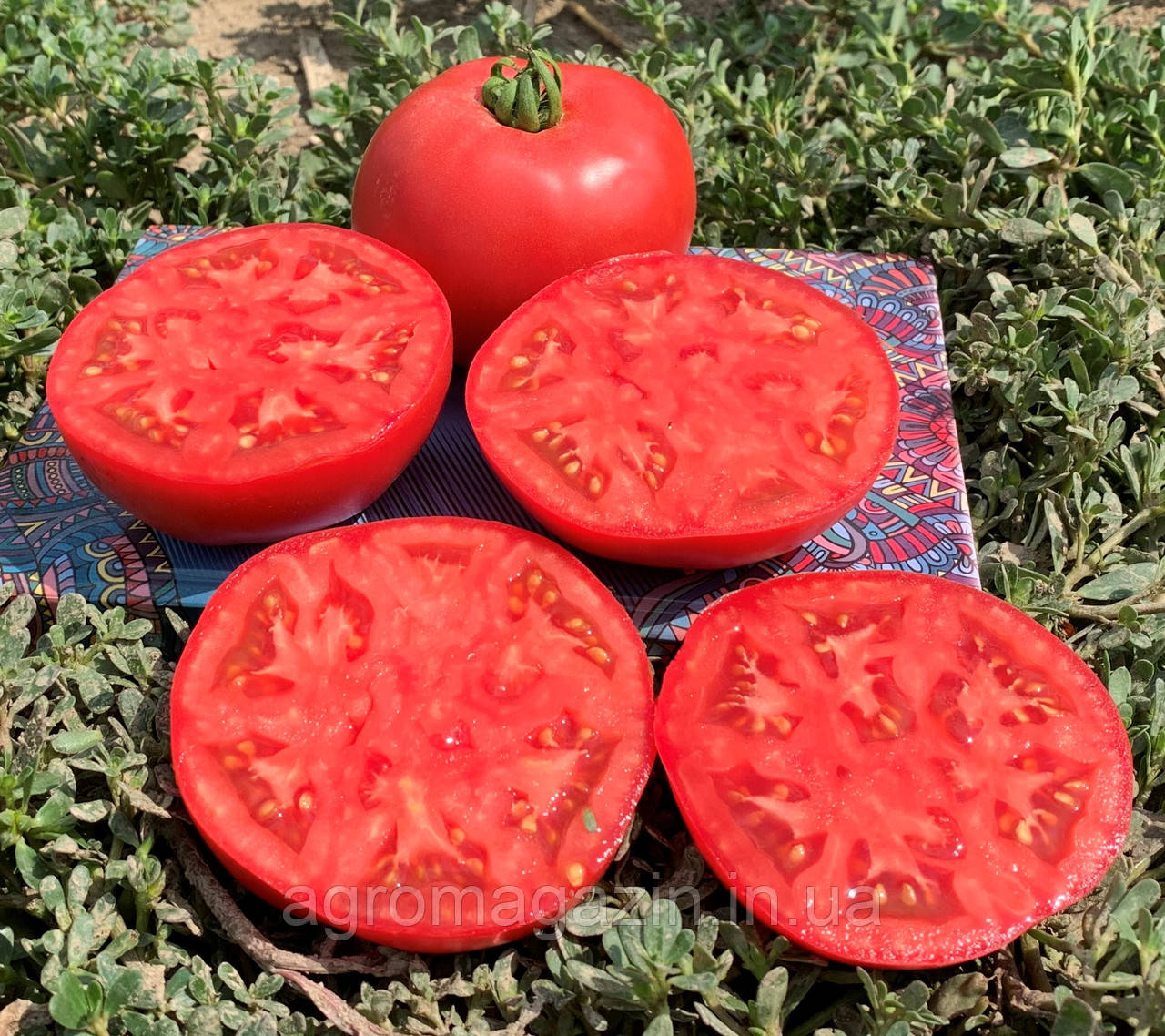 Томат Альма F1 (250нас.) детермінантний