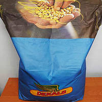 Кукуруза посевная Монсанто ДКС 3507 ФАО 280 Monsanto 3507 Акселерон
