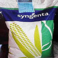 Кукуруза Сингента Делитоп ФАО 220 Syngenta посевная Вибранс ФорсЗеа