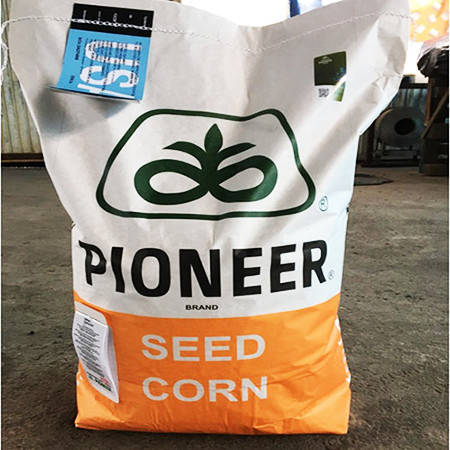 Купить Кукуруза посевная Пионер П0074 ФАО 440 Pioneer P0074 Максим ...