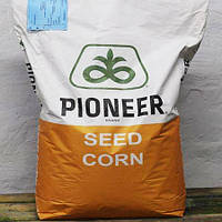 Семена кукурузы Pioneer P9025 ФАО 330 посевной гибрид кукурудзи Пионер П9025
