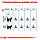 Корм для кошек ROYAL CANIN LIGHT WEIGHT CARE 8 кг, фото 6