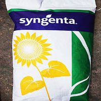 Подсолнечник Syngenta НК Ададжио Сингента под Евролайтинг