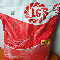 Подсолнечник Limagrain LG 50455 CLP Лимагрейн