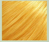Хна Золотий Блонд "Herbal Golden Blonde"/без барвників та Хімії. Індія, 100г. До 08/2026, фото 2