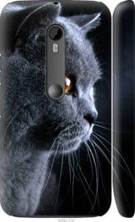 Чохол на Motorola Moto G3 Красивий кіт "3038c-318-851", фото 2