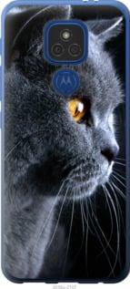 Чохол на Motorola E7 Plus Красивий кіт "3038u-2107-851"