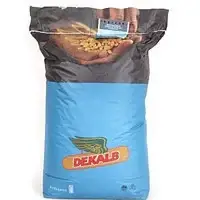 Кукурудза ДКС 3711 ФАО 280, Насіння кукурудзи DEKALB DKS 3711, середньоранка кукурудза, фото 1