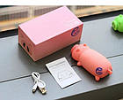 Power Bank Pig Свинка 10000 MAh, фото 10