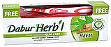 Зубна паста Dabur Нім, 150 г + зубна щітка, фото 2