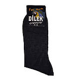 Шкарпетки чоловічі шовк без шва Dilek пр-во Туреччина, фото 2