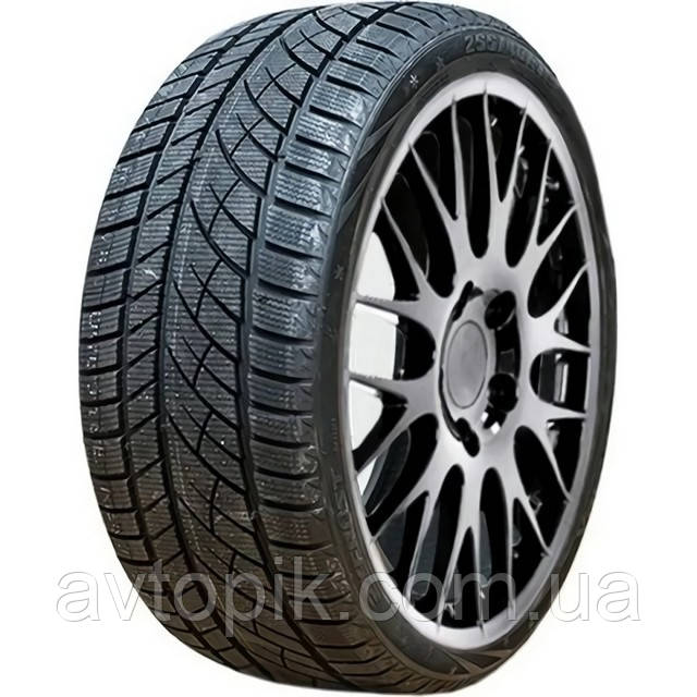 Зимові шини RoadX RX Frost WU01 205/55 R16 91H