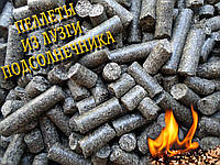 В продаж надійшли паливні пелети і брикети з соняшнику, 100% лушпиння