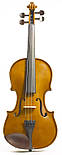 Скрипка STENTOR 1400/G STUDENT I VIOLIN OUTFIT 1/8, фото 2