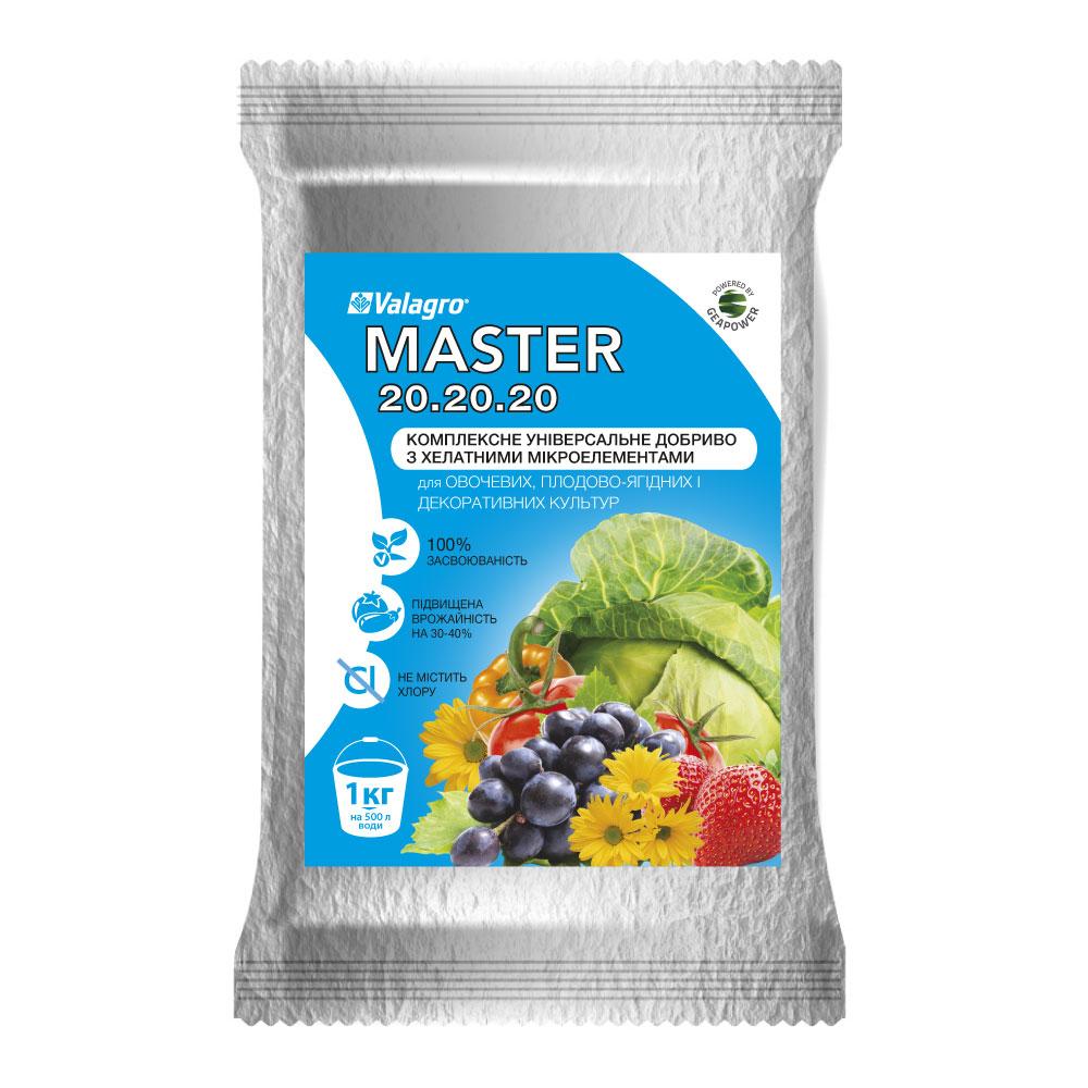 Комплексне мінеральне добриво Master (Майстер) NPK 20.20.20 Valagro, 1 кг, фото 1