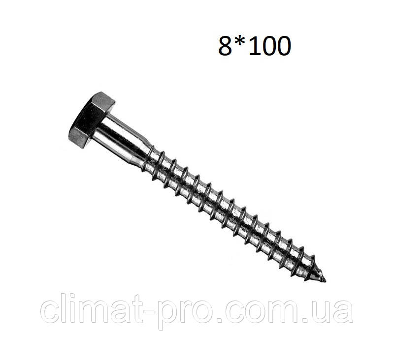 Гвинт 8*100 мм, фото 1