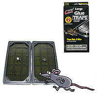 Клеевая ловушка для мышей и крыс Catch Expert Glue Traps 13x25см (2 шт/уп.), липкая ловушка от грызунов (NS)