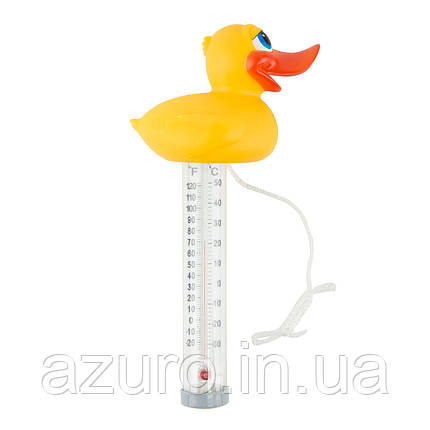 Термометр іграшка Kokido K785BU/6P Качка, фото 1
