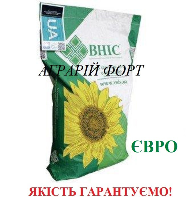 Насіння соняшника Євро /ВНІС / Насіння соняшнику Євро /ВНІС/