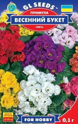 Примула весняний Букет насіння GL Seeds