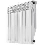 Радиатор секционный Integral 100 Aluminium-500 (IN0006), фото 3