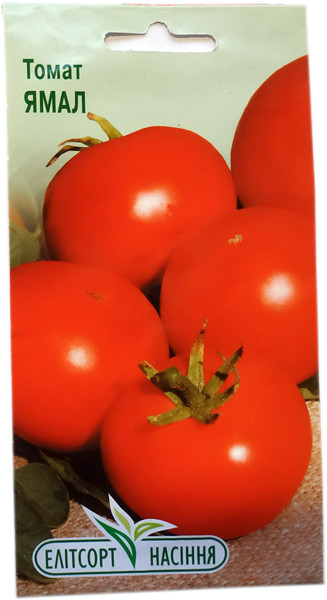 Насіння томату Ямал 0,1 г низький, фото 1