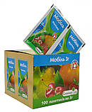 Мобіль 3 г Сімейний сад, фото 2