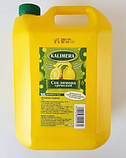 Сік лимону концентрований Kalimera 4 л, фото 2