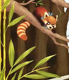 Мала панда Пай, фото 4