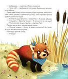 Мала панда Пай, фото 6