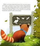 Мала панда Пай, фото 7