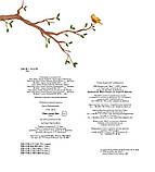 Мала панда Пай, фото 2