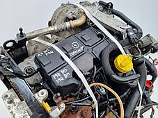 F9Q803 Двигун Меган II, фото 3