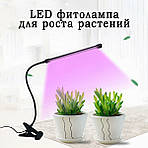 Led лампа для рослин Wi-Grain фітолампа з таймером. Червоний і синій LED, фото 2