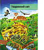 Книга Я і світ навколо мене. Ілюстрована енциклопедія. Елеонора Барзотті, фото 3