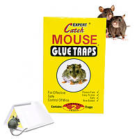 Клейова пастка для мишей "Catch Expert - Mouse glue traps" 2 аркуші, липка мишоловка клейка 13х18 см