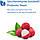 Allergy Research Essential-Biotic Saccharomyces Boulardii / Сахароміцети Буларді 120 капсул, фото 6
