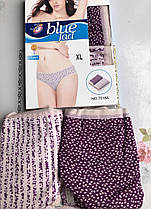 Жіночі Труси Марка "EASINESS" Арт.7518 (2шт)