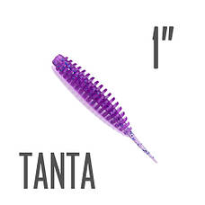TANTA 1"