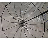 Прозора парасолька тростина 16 спиць із чохлом напівавтомат без малюнка спиці карбон, фото 5