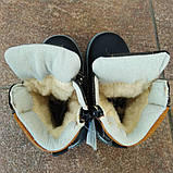 Черевики для хлопчика темно-сині, ззаду коричнева вставка ДШ, фото 3