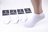 Чоловічі шкарпетки занижені "AURA" Cotton 39-42, фото 2