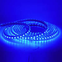 Светодиодная лента LED 5050 Синий 100m BF