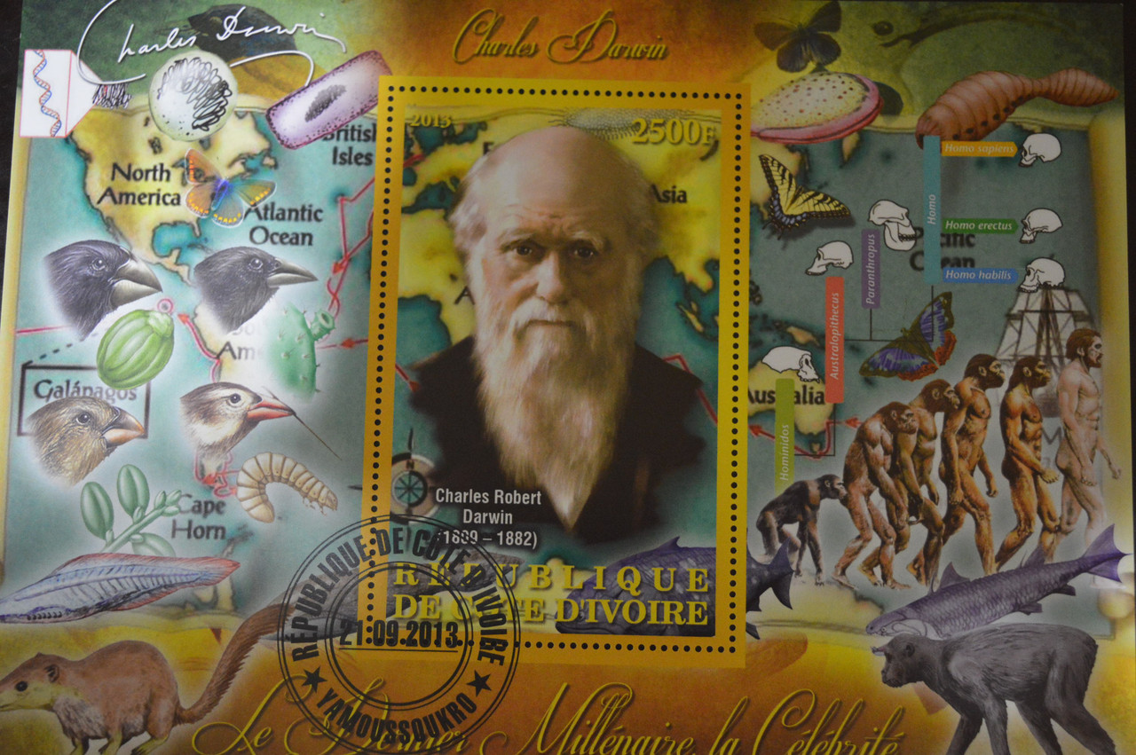 Кот Д'івуар. Марки. Історія. Особистості. Блок. 2012 рік (В-5)