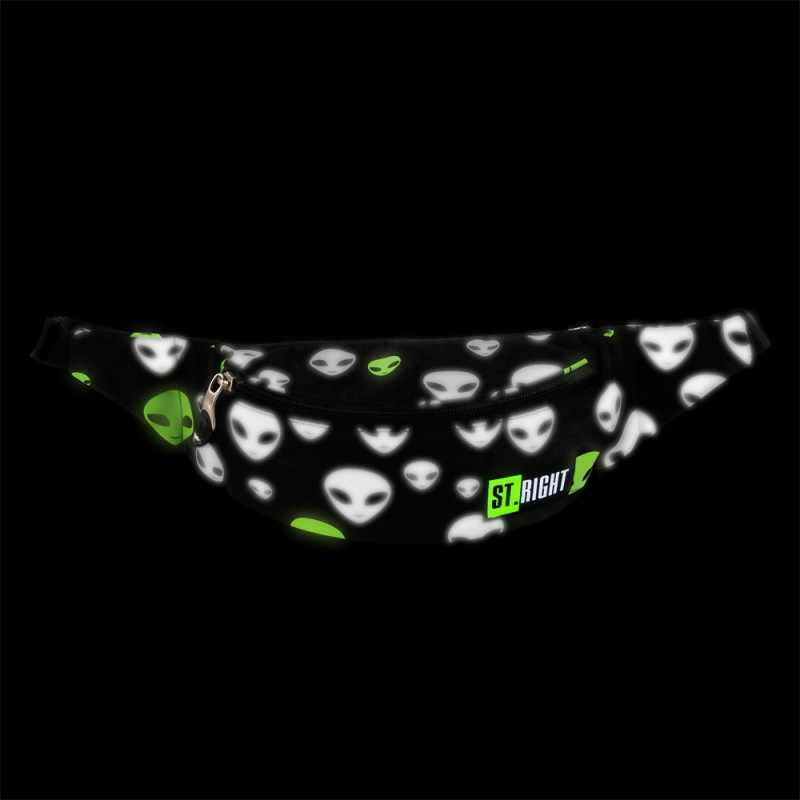 Сумка на пояс ST.Right WB1 REFLECTIVE ALIENS Черный (5903235625756)