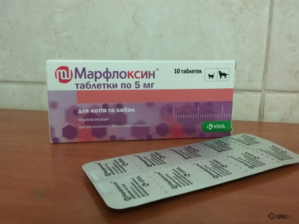 Марфлоксин таблетки 5 мг No 10 KRKA (Словіння) антибіотик широкого спектра дії для лікування собак і кішок.